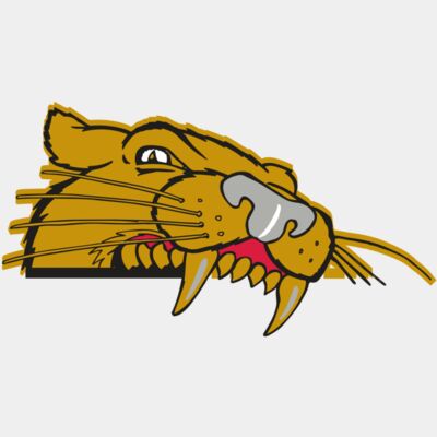 AR COUGAR 73 RC Thumbnail