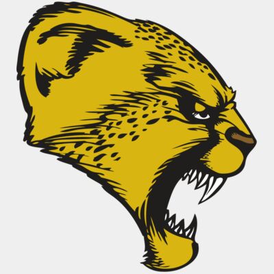 BAW CHEETAH 13 RC Thumbnail