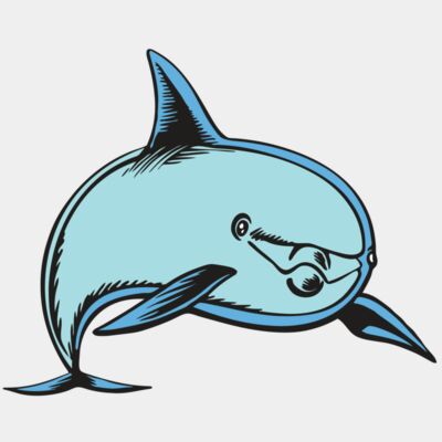 BAW DOLPHIN 04 RC Thumbnail