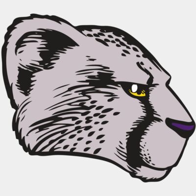 BAW CHEETAH 20 RC Thumbnail