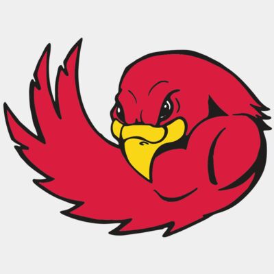 AR FALCON 18 RC Thumbnail