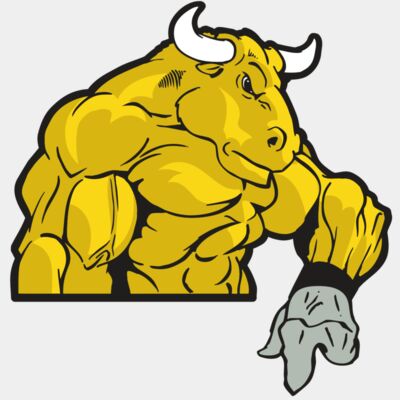 AR BULL 13 RC Thumbnail