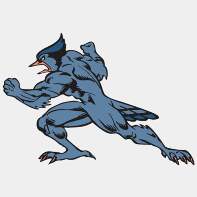 BAW BLUEJAY 15 RC Thumbnail