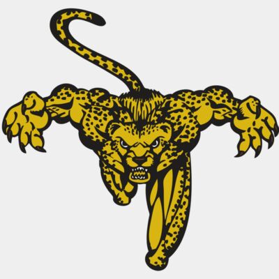 BAW CHEETAH 08 RC Thumbnail