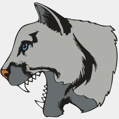 BAW COUG PANTH 15 R Thumbnail