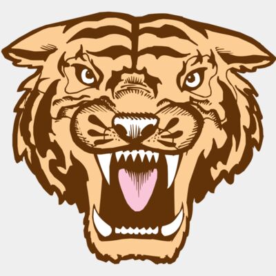 BAW TIGER 05 RC Thumbnail