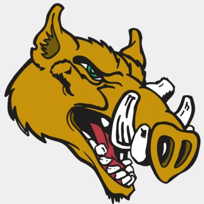 AR RAZORBACK 17 RC Thumbnail