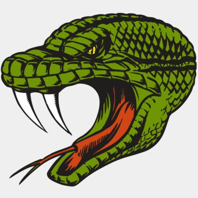 BAW SNAKE 14 RC Thumbnail