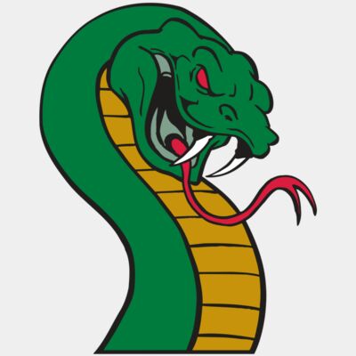 AR SNAKE 12 RC Thumbnail