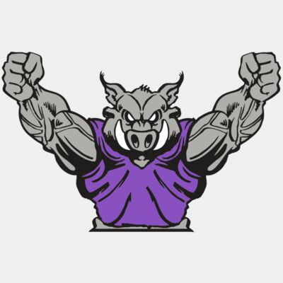 AR RAZORBACK 10 RC Thumbnail