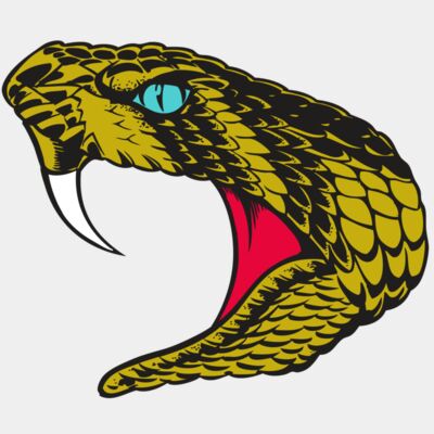 BAW SNAKE 16 RC Thumbnail