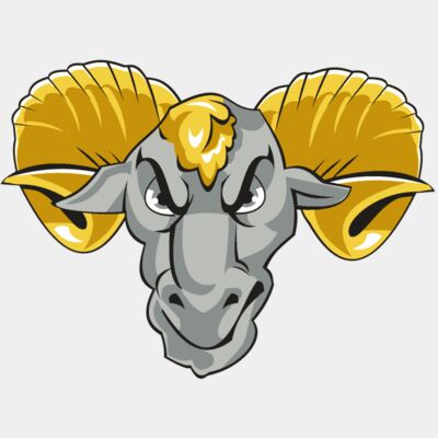 RAM HD0502 RQC Thumbnail