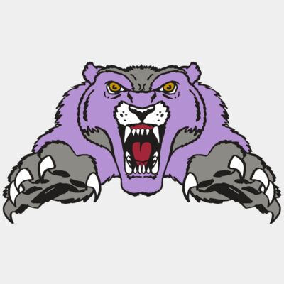 AR WOLVERINE 17 RC Thumbnail