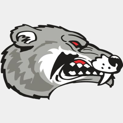 AR WOLVERINE 13 RC Thumbnail