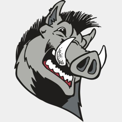 AR RAZORBACK 15 RC Thumbnail