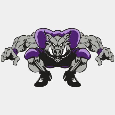 AR RAZORBACK 28 RC Thumbnail