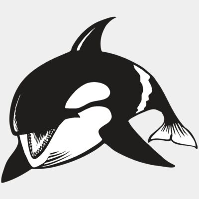 BAW KLRWHALE 04 RC Thumbnail