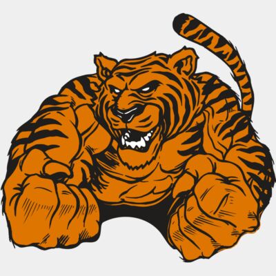 AR TIGER 55 RC Thumbnail