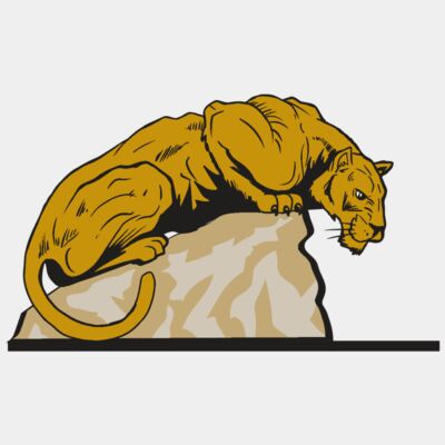 AR10 PANTHER 01 RQC Thumbnail