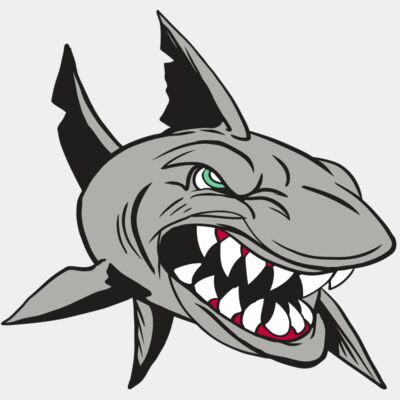 AR4 SHARK 01 RQC Thumbnail