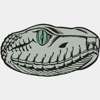 BAW SNAKE 10 RC Thumbnail