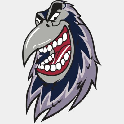 RAVEN HD0503 RQC Thumbnail