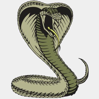 BAW SNAKE 07 RC Thumbnail