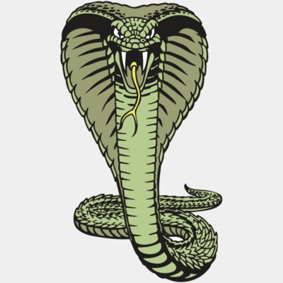 BAW SNAKE 15 RC Thumbnail