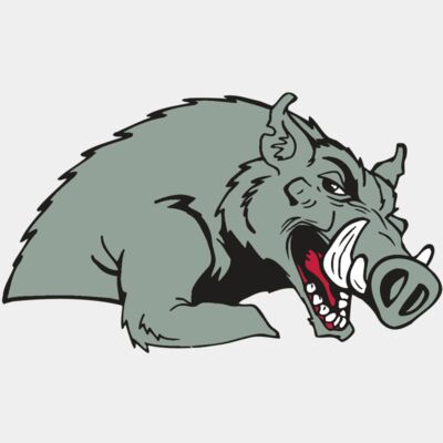 AR RAZORBACK 14 RC Thumbnail