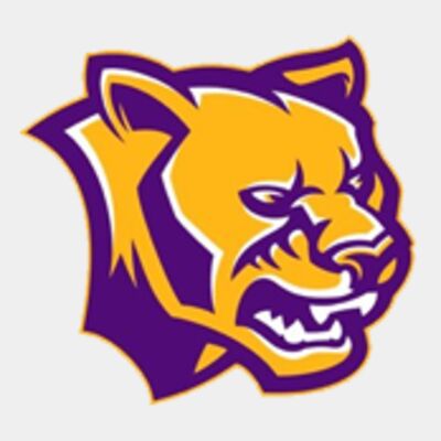 Cougar Purple and gold Thumbnail