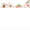 Tiny-Super Small Labels - Stickers  up to 4 sq inch Thumbnail