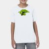 Youth Softstyle® 4.5 oz. T-Shirt Thumbnail