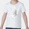 Toddler Softstyle® 4.5 oz. T-Shirt Thumbnail